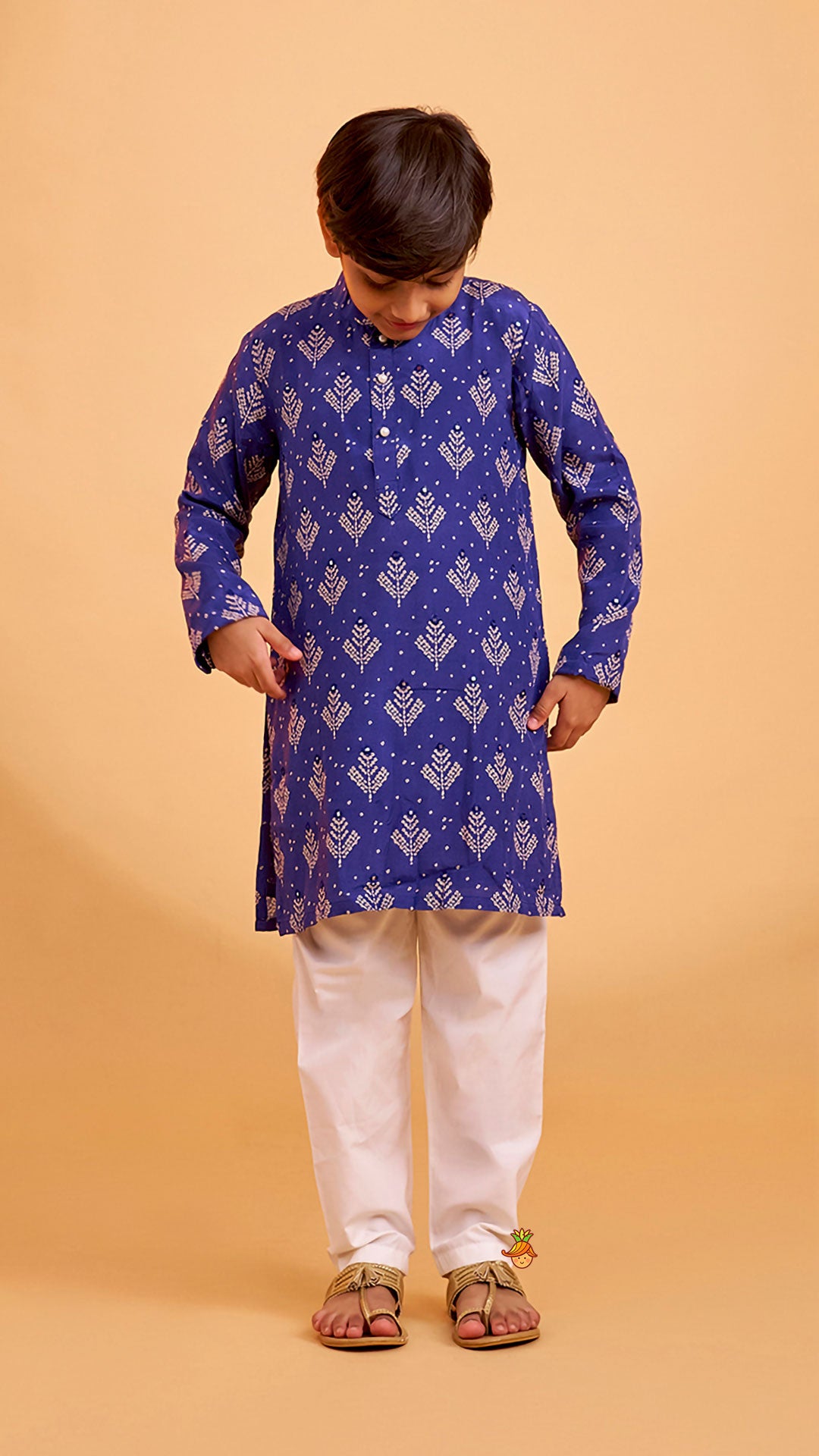 Pre Order: Printed Blue Kurta And Pyjama