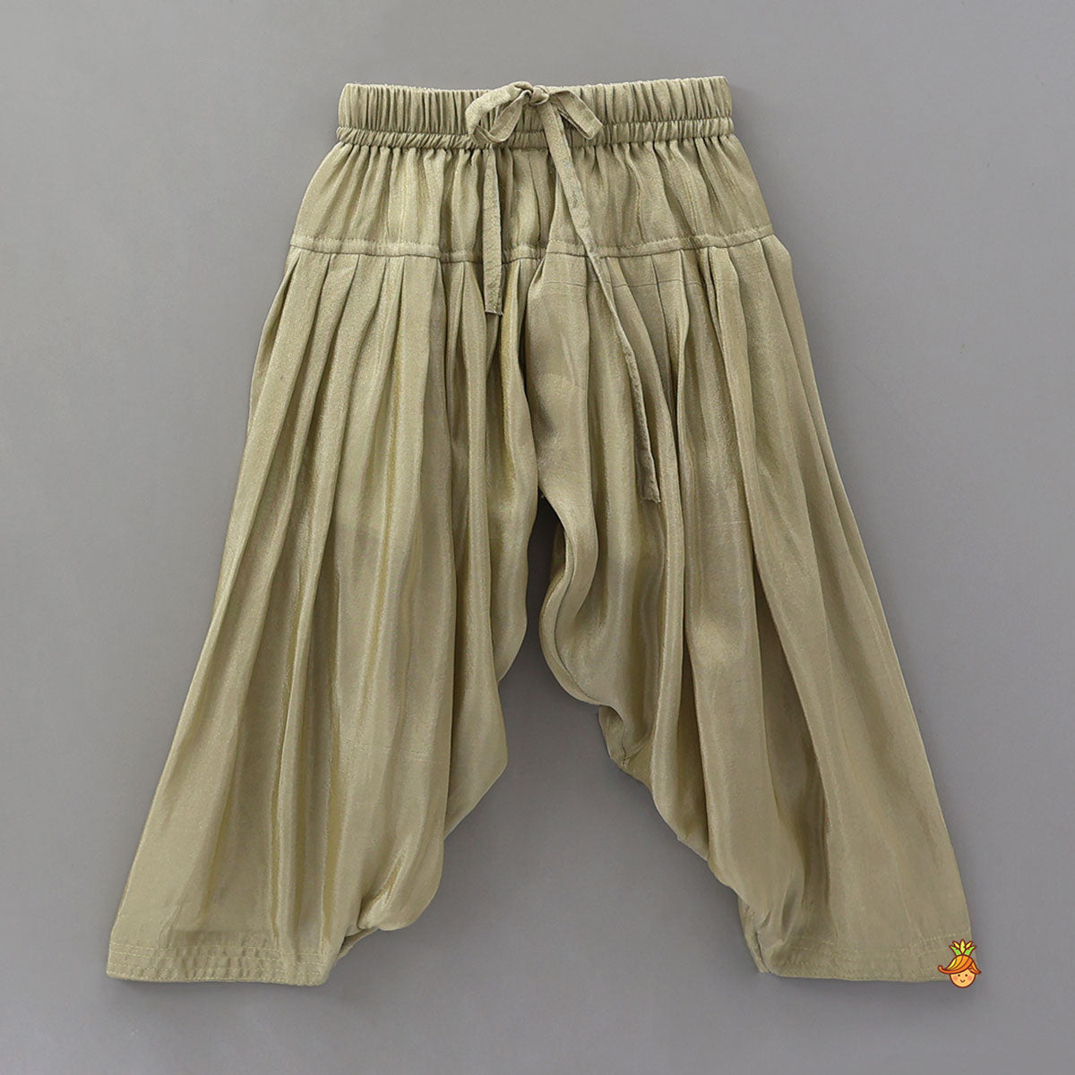 Pre Order: Charming Embroidered Sherwani With Pleated Patiala